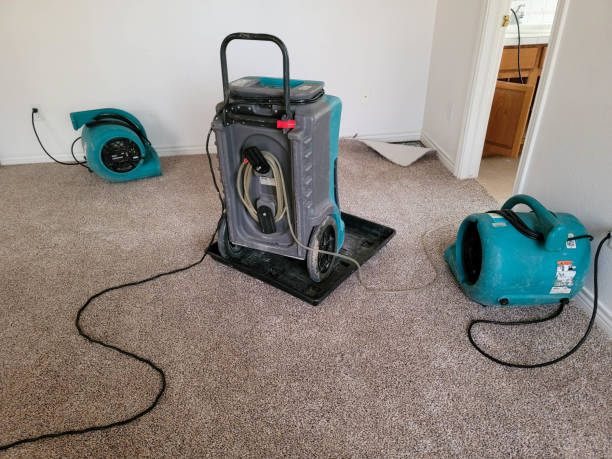 Best Residential water damage restoration  in Linda, CA