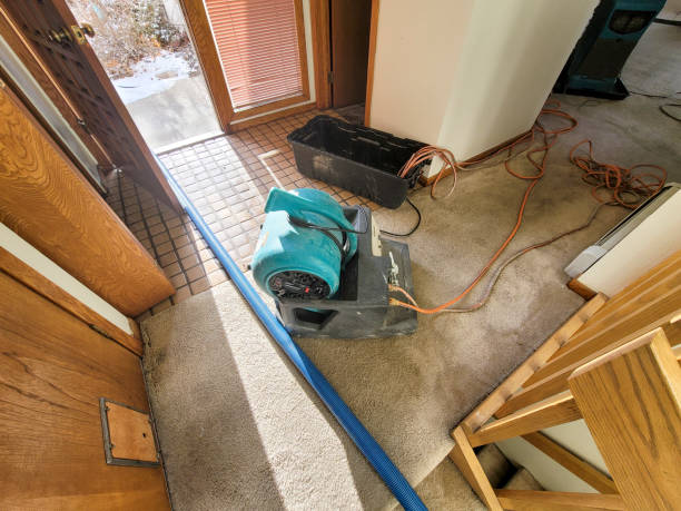 Best Residential water damage restoration  in Linda, CA