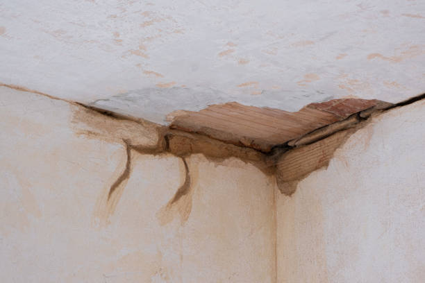 Best Ceiling water damage repair  in Linda, CA