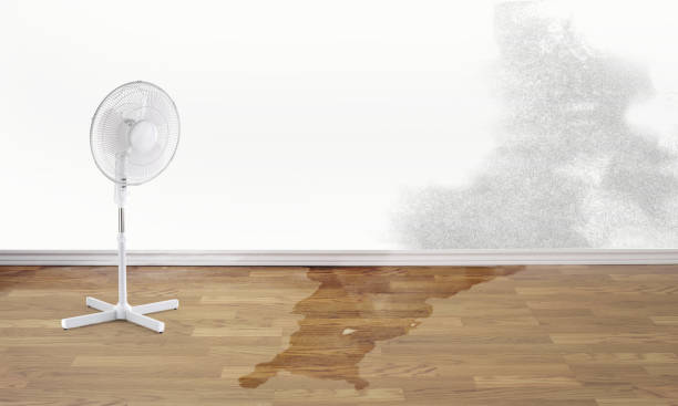 Best Flood damage cleanup  in Linda, CA
