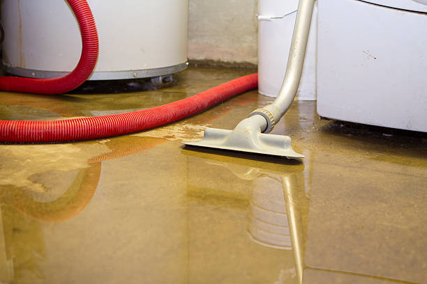 Best Water damage cleanup near me  in Linda, CA